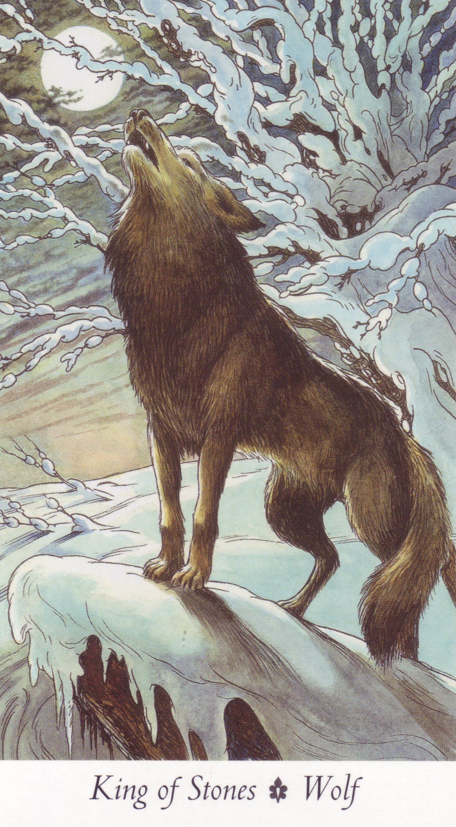 wolf tarot